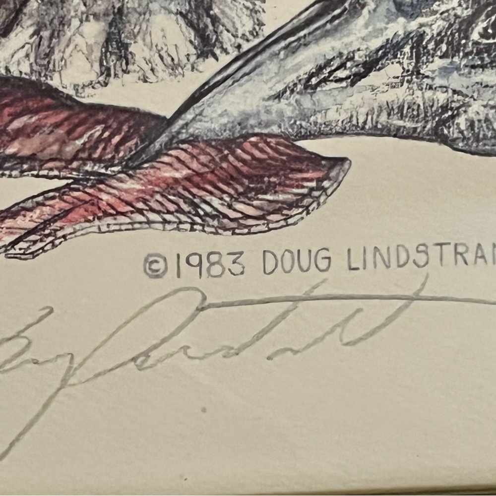 1983 Framed Doug Lindstrand Alaska Print Signed Limited Edition 17/22 Inch - Picture 7 of 12